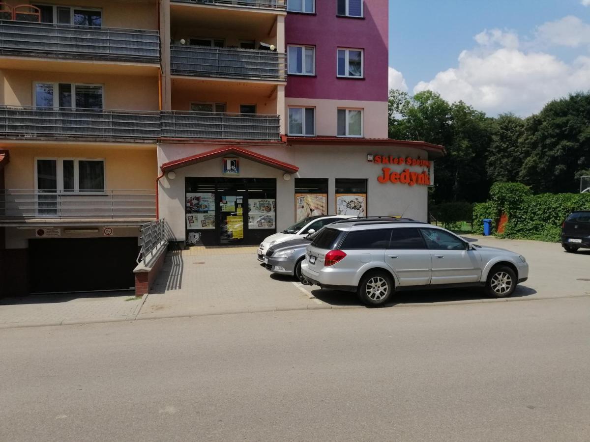 Apartament Witkiewicza Sanok Exteriér fotografie